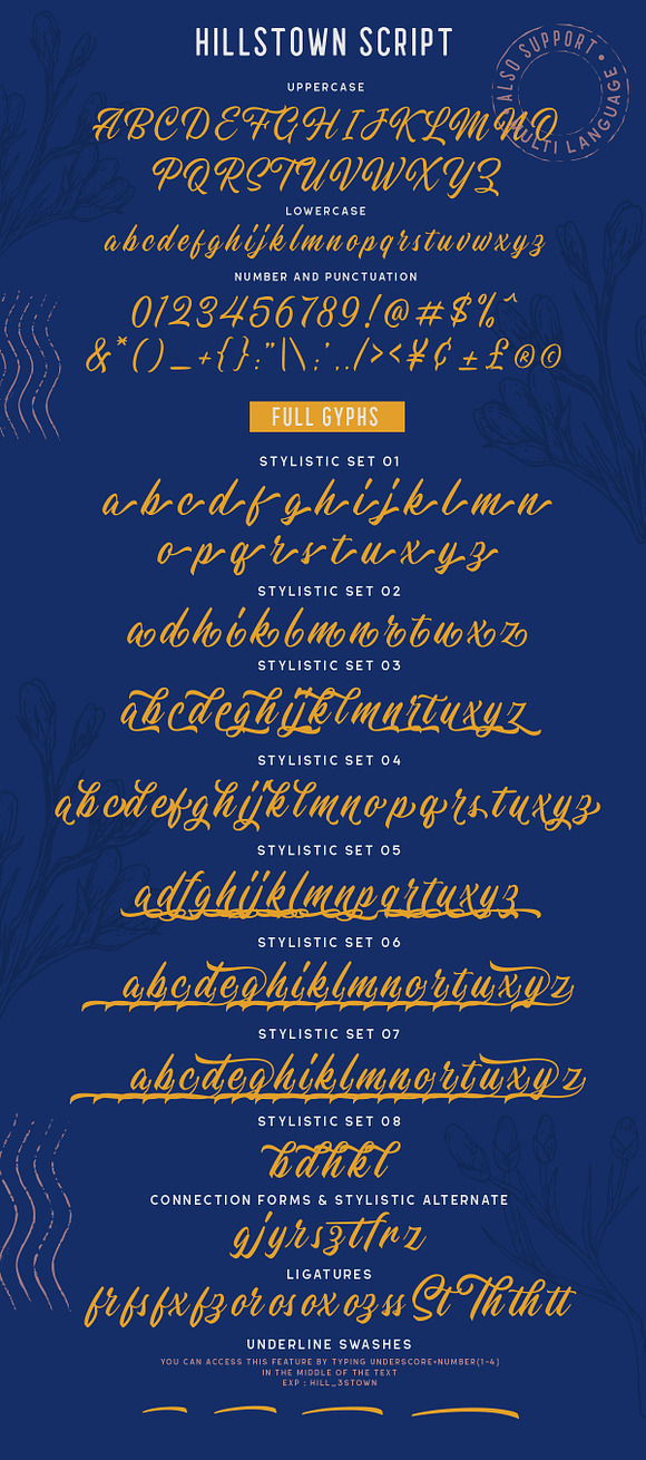 Hillstown Font Collection (+EXTRA) in Script Fonts - product preview 7