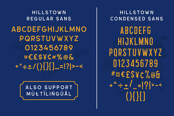 Hillstown Font Collection (+EXTRA) in Script Fonts - product preview 9
