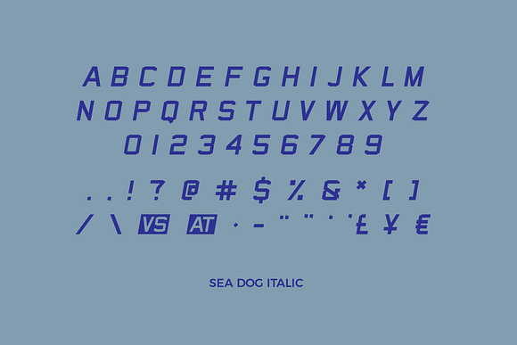 Sea Dog Bundle | Sports Display Font in Military Fonts - product preview 9