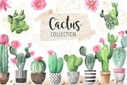 Watercolor Exotic Cactus Collection