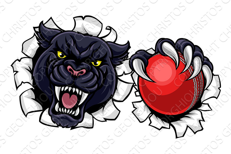 Black Panther Cricket Mascot in Illustrations - product preview 8