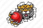 Wildcat Holding Cricket Ball