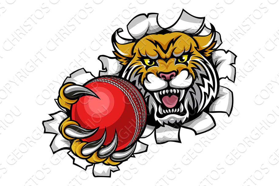Wildcat Holding Cricket Ball in Illustrations - product preview 8