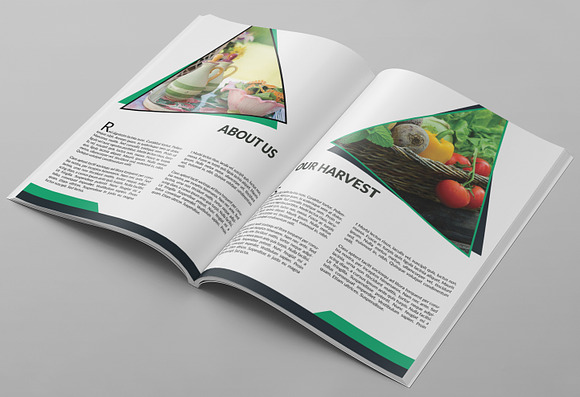 Business Proposal or Brochure in Brochure Templates - product preview 1