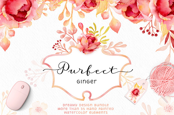 Purfect Ginger Watercolor Design Kit in Illustrations - product preview 9