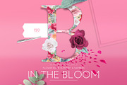 In The Bloom - Flower Bomb Alphabet