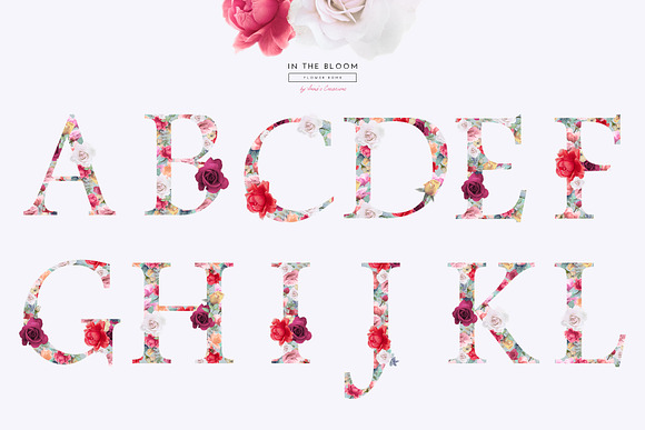 In The Bloom - Flower Bomb Alphabet in Illustrations - product preview 1