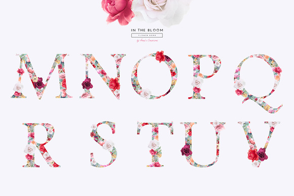 In The Bloom - Flower Bomb Alphabet in Illustrations - product preview 2