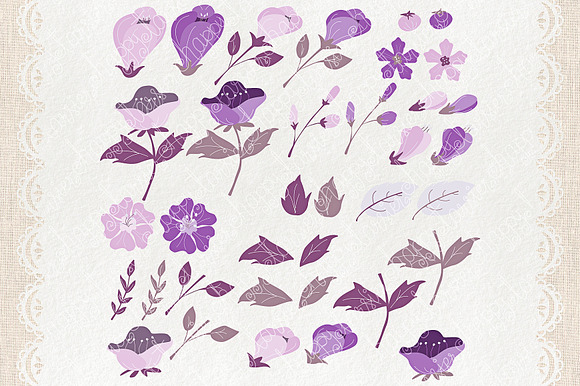 Flower Clipart and Vector – Flora 08 in Illustrations - product preview 1