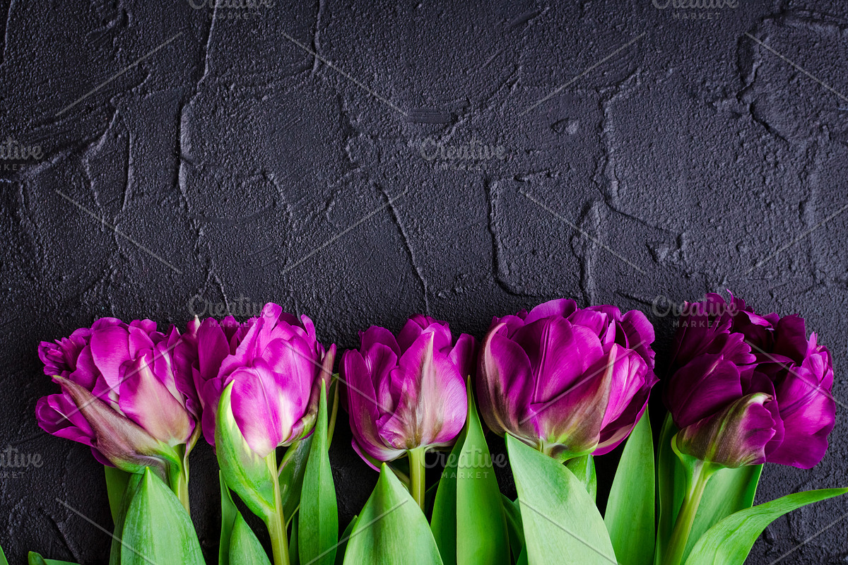 Purple tulips on black background in Illustrations - product preview 8