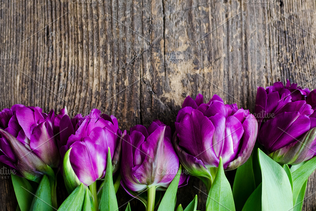 Purple tulips on wooden background in Illustrations - product preview 8
