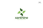 Xanthine -Letter X Logo