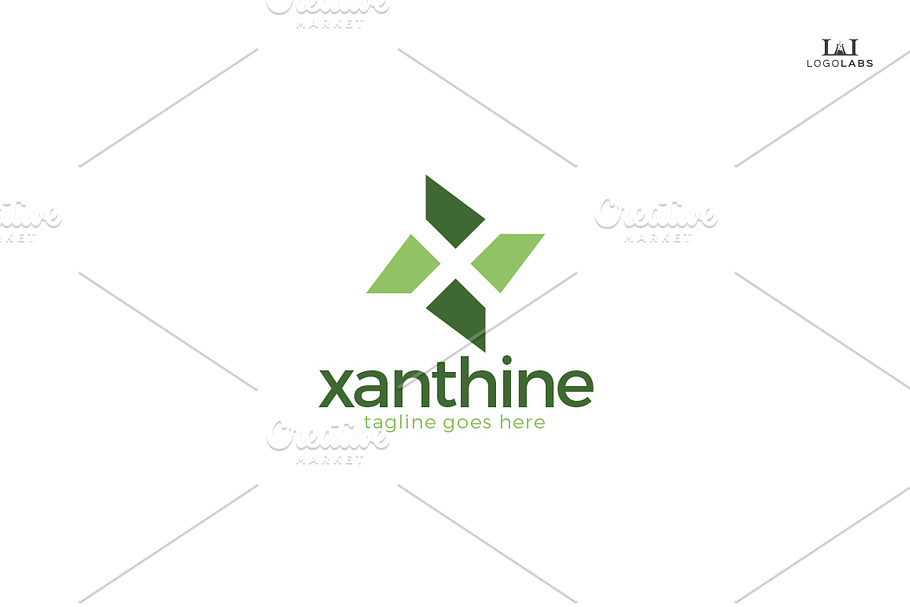 Xanthine -Letter X Logo in Logo Templates - product preview 8