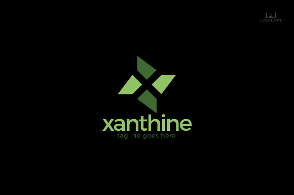 Xanthine -Letter X Logo in Logo Templates - product preview 1