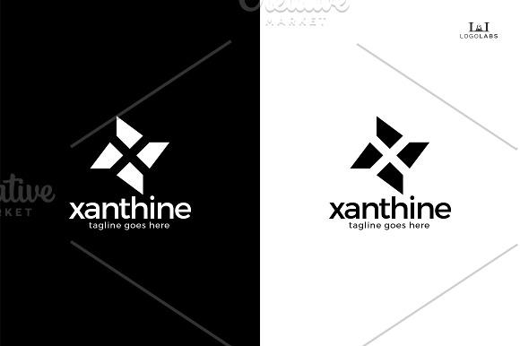 Xanthine -Letter X Logo in Logo Templates - product preview 2