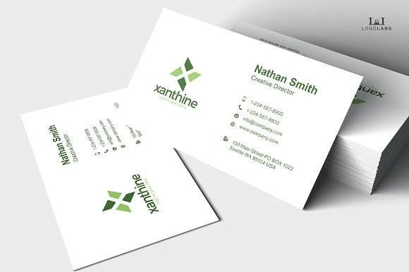 Xanthine -Letter X Logo in Logo Templates - product preview 3