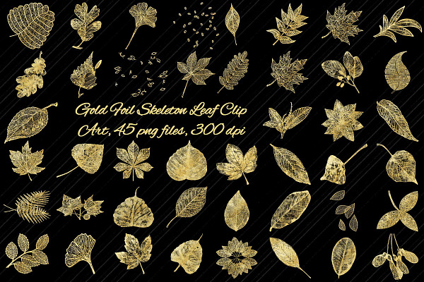 Gold Foil Skeleton Leaf Clip Art