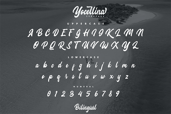 Yocellina in Script Fonts - product preview 4