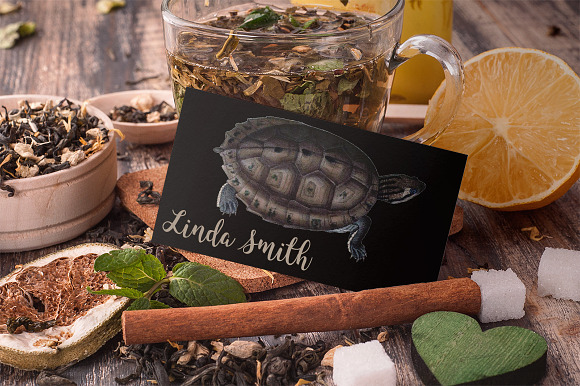 Asian Leaf Turtle Vintage Reptiles in Illustrations - product preview 5