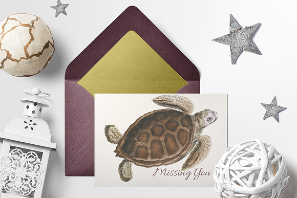 Green Sea Turtle Vintage Reptile in Illustrations - product preview 3