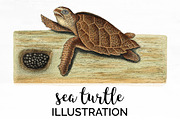 Hawksbill Vintage Sea Turtle