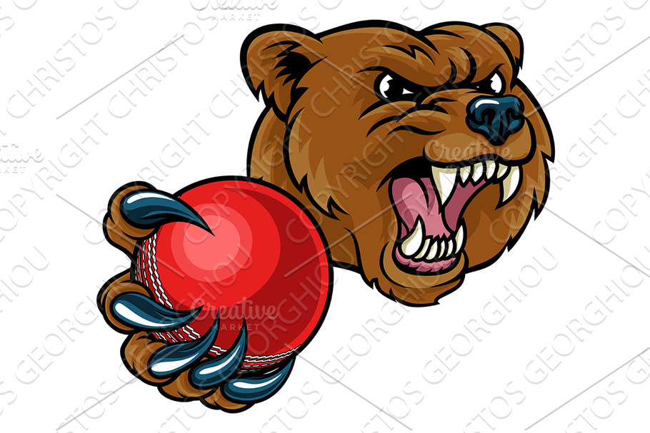Bear Holding Cricket Ball