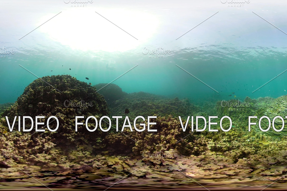 Coral reef and tropical fish vr360 in Graphics - product preview 8