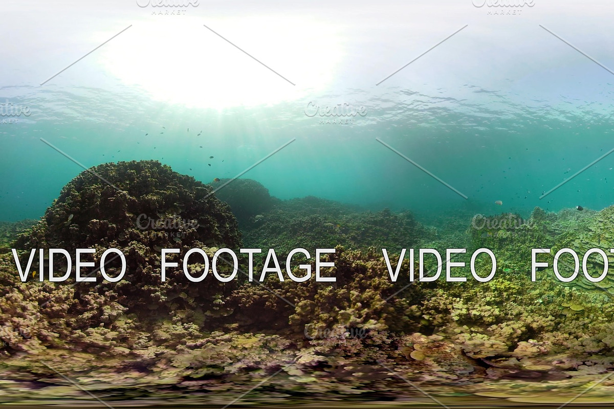 Coral reef and tropical fish vr360 in Graphics - product preview 8