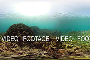 Coral reef and tropical fish vr360