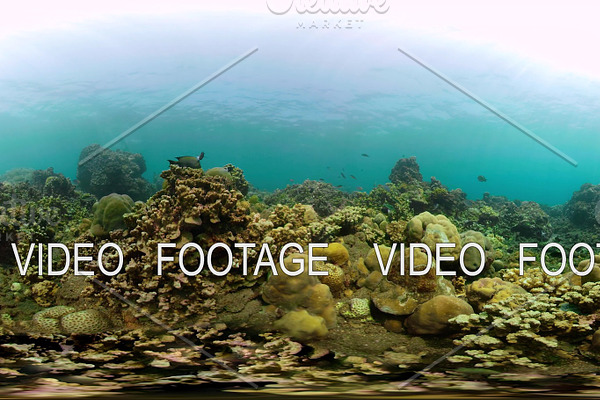 Coral reef and tropical fish vr360