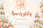 Amaryllis flowers Watercolor png 