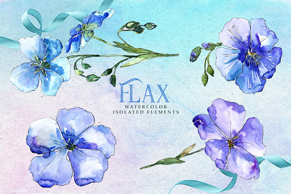 FLAX Watercolor png in Illustrations - product preview 6