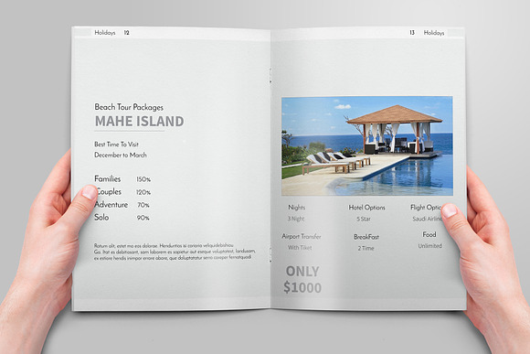 Holidays Brochures in Brochure Templates - product preview 7