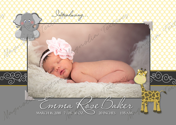 "Oh Baby!"  5x7 Birth Announcements in Card Templates - product preview 6
