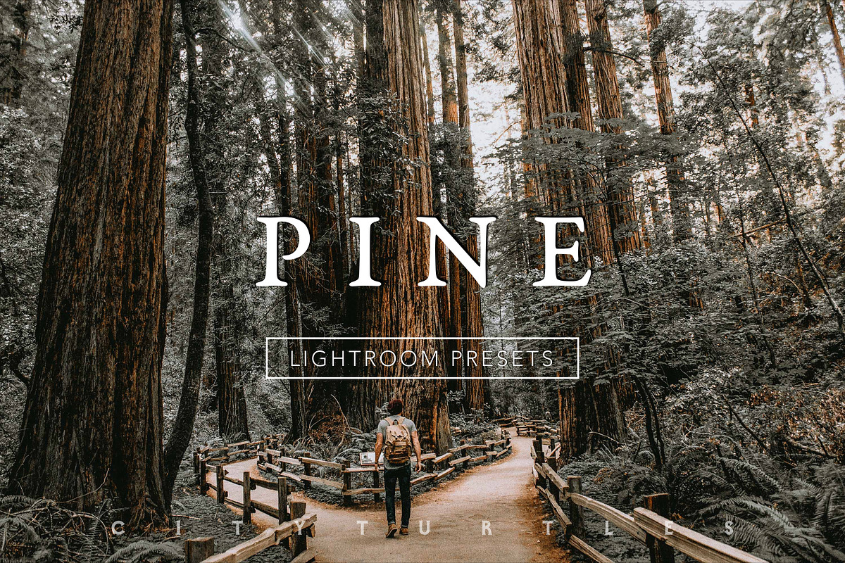 PINE Warm Moody Lightroom Presets in Add-Ons - product preview 8
