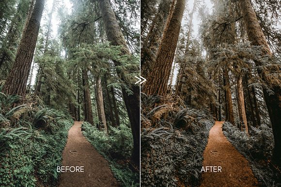 PINE Warm Moody Lightroom Presets in Add-Ons - product preview 3