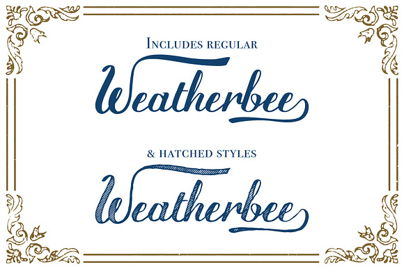 Weatherbee Script in Script Fonts - product preview 8