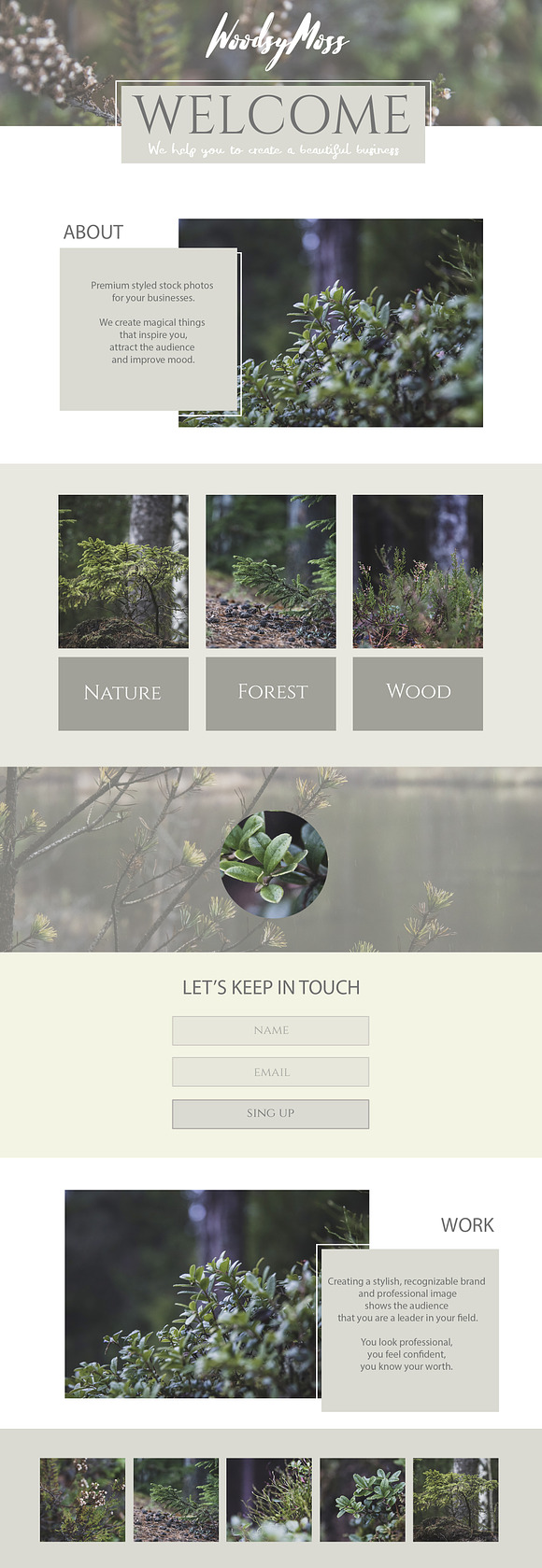 Shrubbery - Stock Photos in Social Media Templates - product preview 5