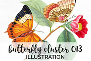 Butterfly Orange Watercolor Cluster