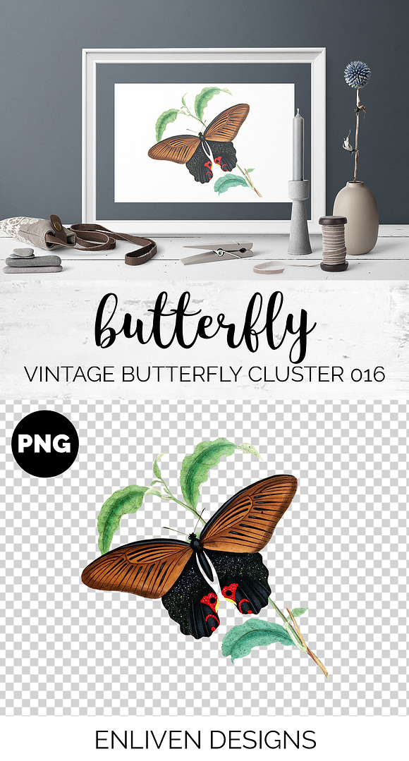 Vintage Watercolor Butterfly in Illustrations - product preview 1