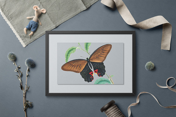 Vintage Watercolor Butterfly in Illustrations - product preview 5