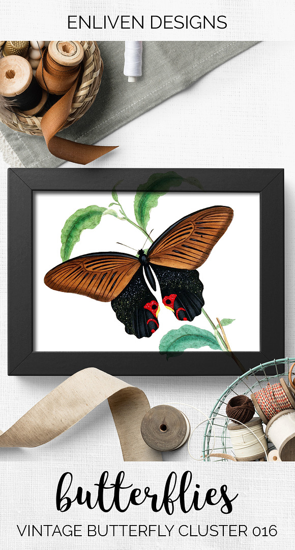 Vintage Watercolor Butterfly in Illustrations - product preview 7