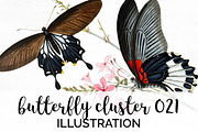 Vintage Butterfly Floral Cluster