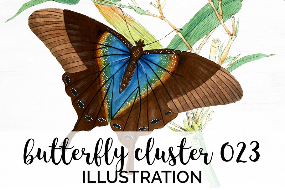 Vintage Butterfly Cluster Watercolor