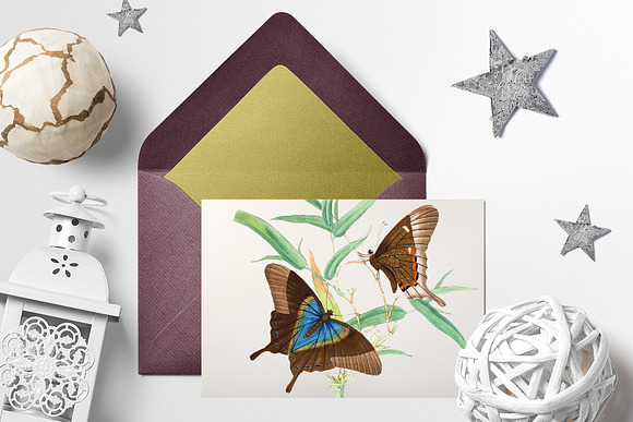 Vintage Butterfly Cluster Watercolor in Illustrations - product preview 3