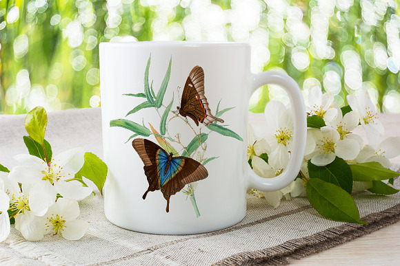 Vintage Butterfly Cluster Watercolor in Illustrations - product preview 5