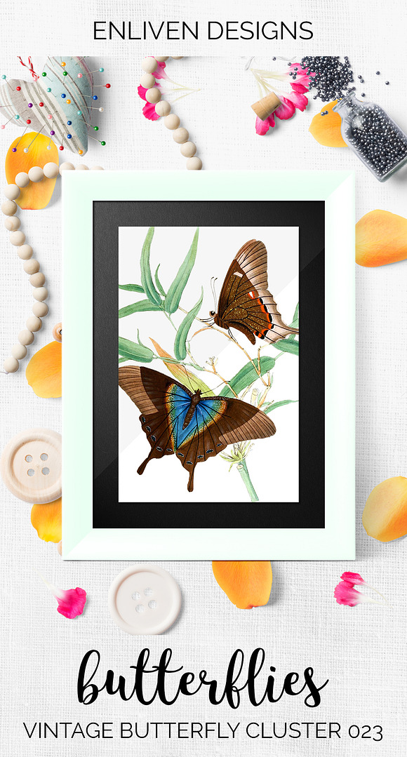 Vintage Butterfly Cluster Watercolor in Illustrations - product preview 7