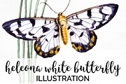 White Butterfly Heleona Vintage