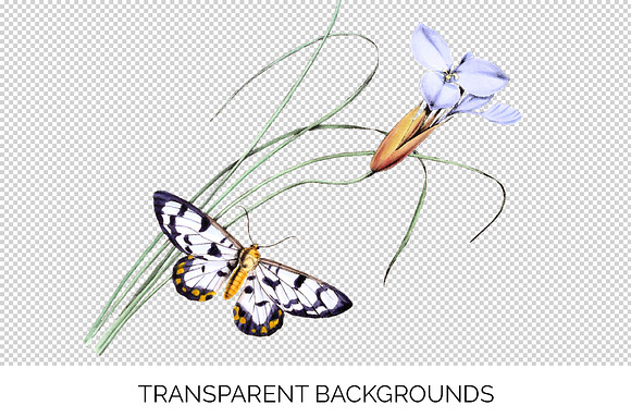 White Butterfly Heleona Vintage in Illustrations - product preview 2