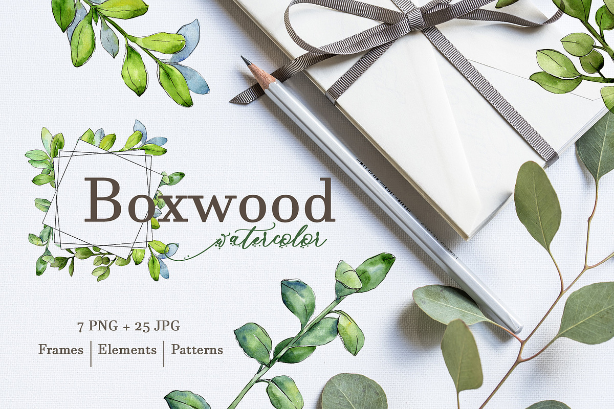 Boxwood Watercolor png  in Illustrations - product preview 8